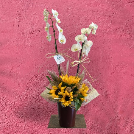 White Orchid w/ Sunflower